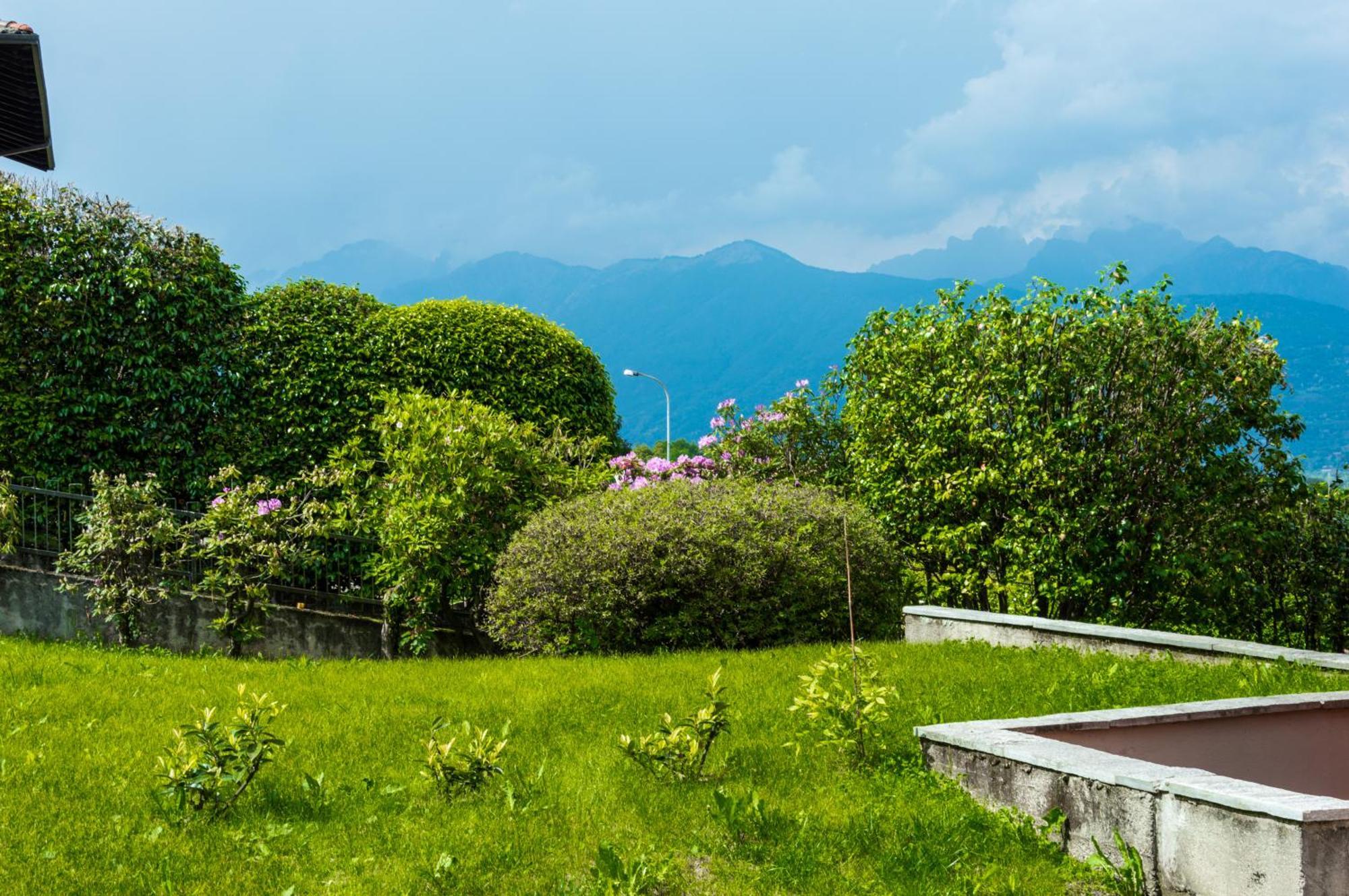 Ortensia Baveno Bagian luar foto